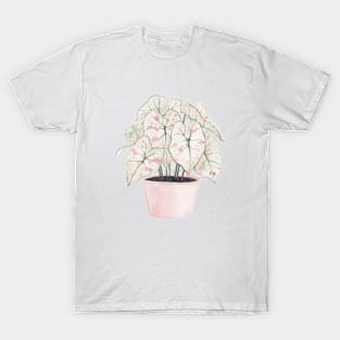 Pink Houseplant Watercolour - Caladium T-Shirt